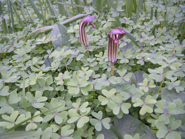 2011_11280025.JPG