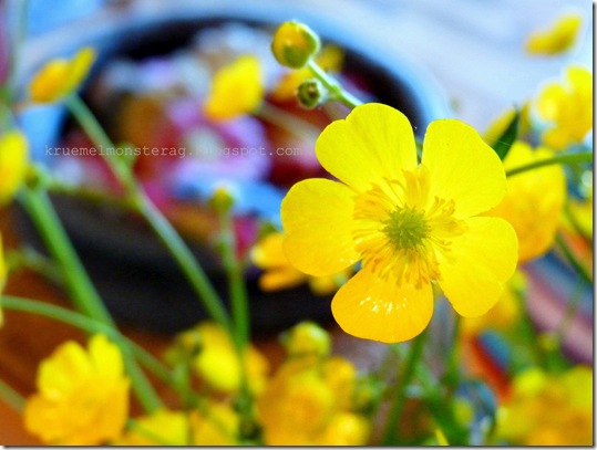 Butterblumen und Gehäkeltes (2)