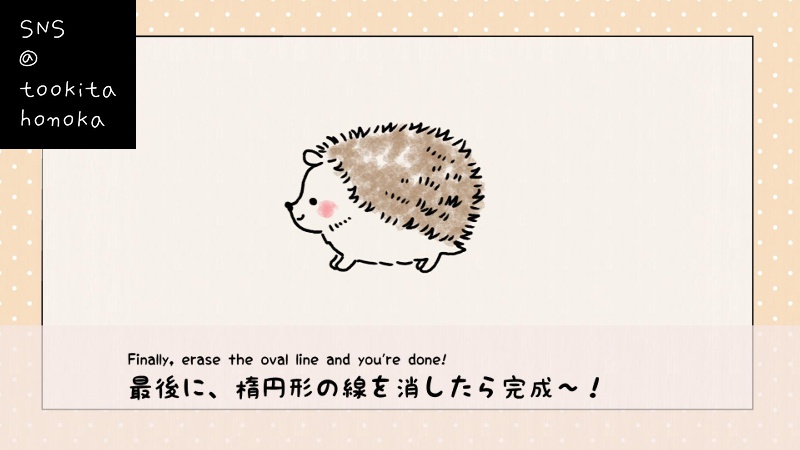 簡単かわいいハリネズミのイラストの描き方 遠北ほのかのイラストサイト