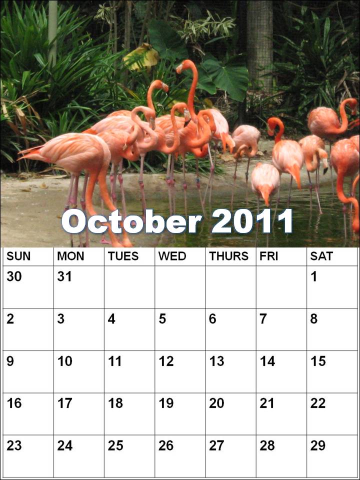 blank calendar. use.lank calendar