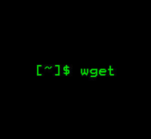 Download file via terminal with wget