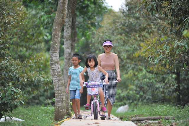 Tour du lịch sinh thái Đồng Nai