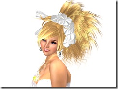 Tvd_20090609a_005