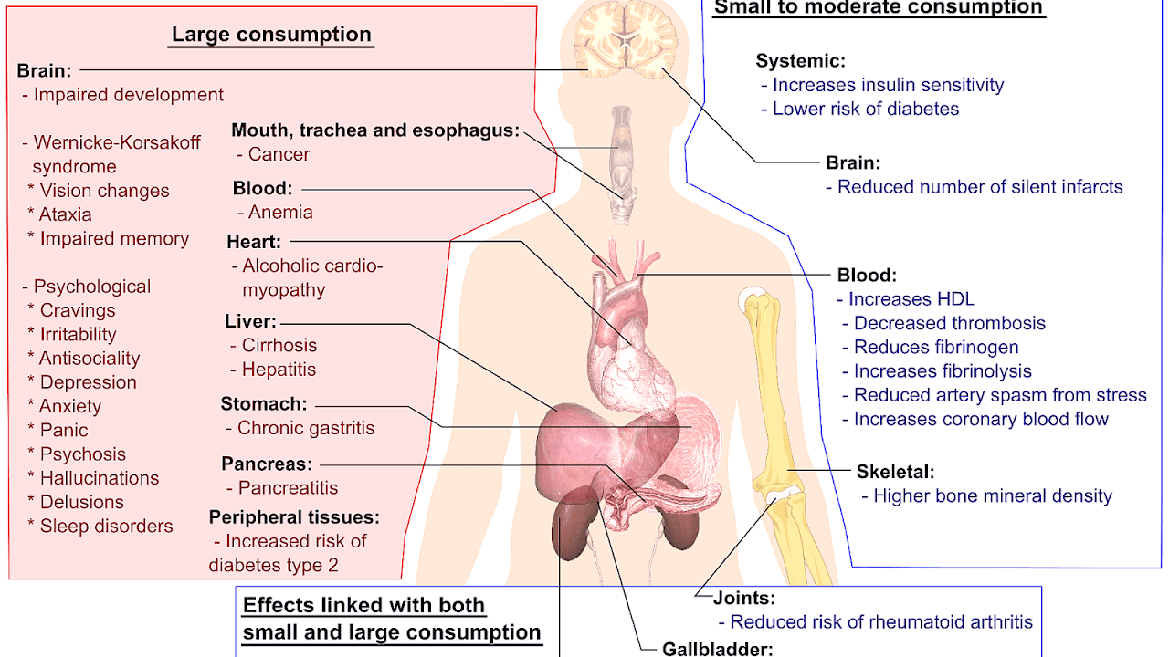 Short And Long Term Effects Of Smoking