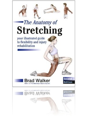 The Anatomy of Stretching: Your Anatomical Guide to Flexibility and Injury Rehabilitation