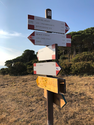 Trail indications at a major hiking and mountain biking intersection above Nisporto.