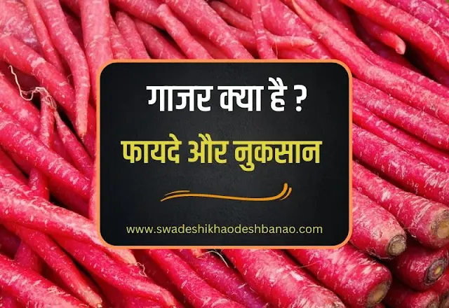 Information about carrot (gajar) in hindi