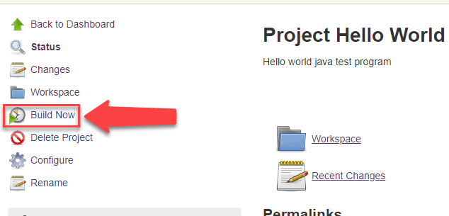 Jenkins Build Now