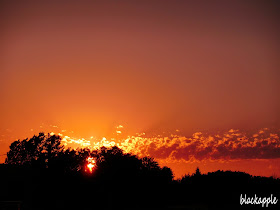 Red line Berwyn_Dusk_by black apple