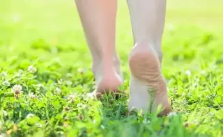 Do you know the benefits of walking barefoot on the grass every morning?