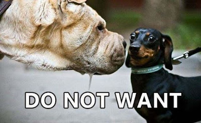 Hilarious 'Do Not Want' Images Seen On www.coolpicturegallery.us