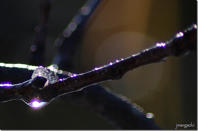 DSC_03130001