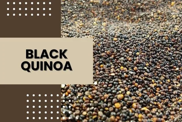 Nutritional Value of Cooked Quinoa: Black Quinoa