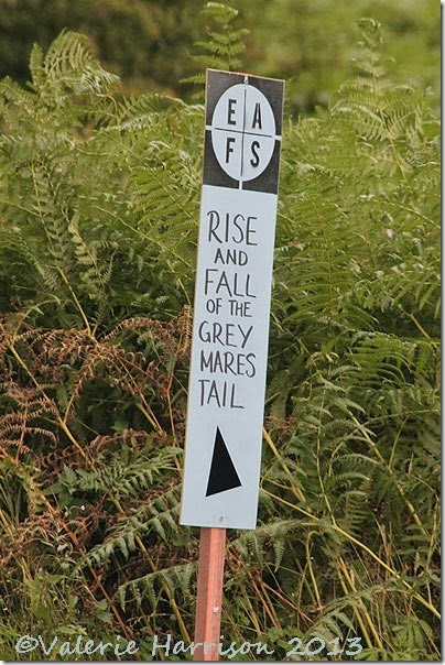 10-sign
