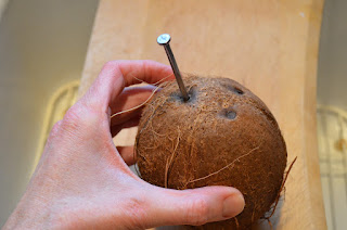 Coconut spiritual work, opening the eyes of a coconut, prayer with coconut