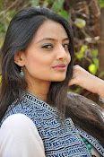 Nikitha Narayan new glam pics-thumbnail-30