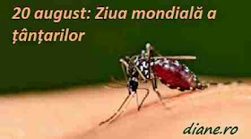 20 august: Ziua mondială a țânțarilor