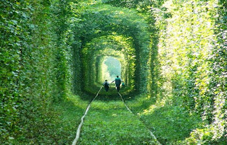 train-tunnel-photos-pictures-images-pics