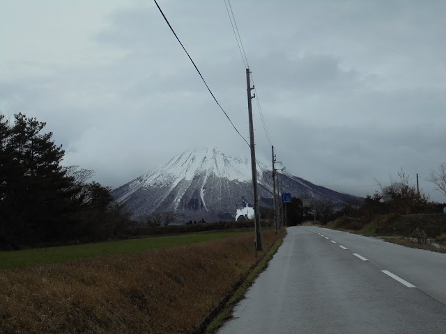 振り向くと冠雪した大山が見えます