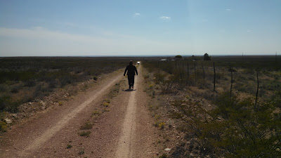 A photo of the walk back to the GeoPrius.