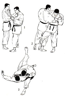 techniques judo