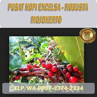 kopi excelsa di mojokerto