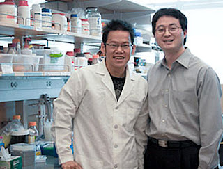 Che-Ming Hu and nanoengineering Professor Liangfang Zhang