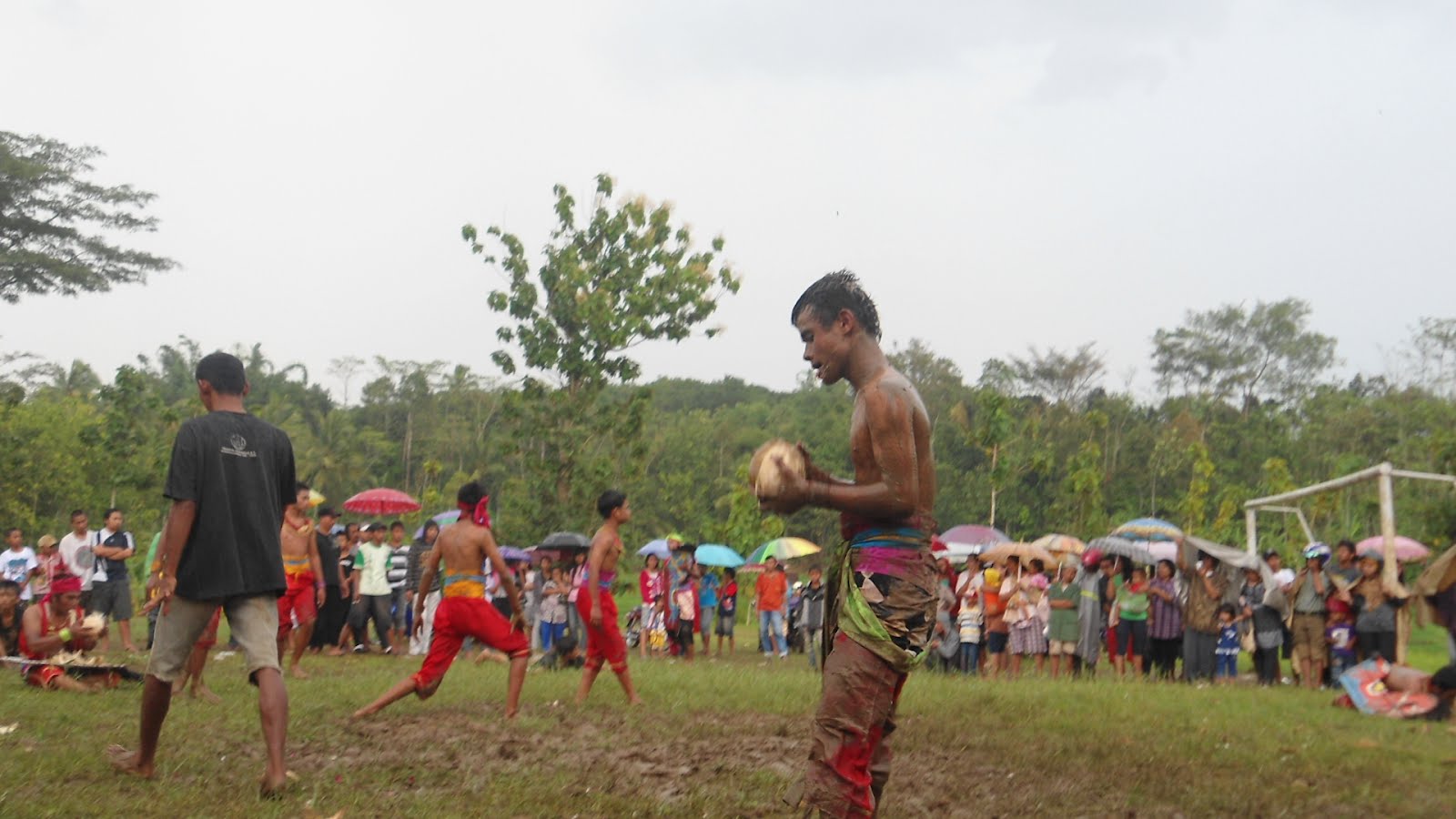 Si Lotho makan buah kelapa.