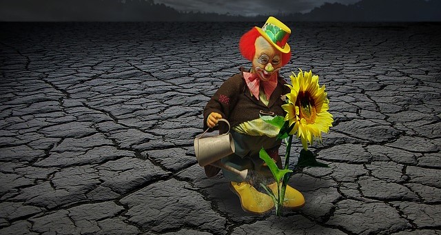 Clown Watering a Single Flower in the Middle of Dry, Cracked Soil