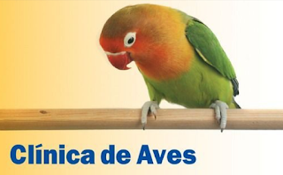 baicar-download-livro-clinica-de-aves-tully-pdf-livros-de-veterinaria-gratis