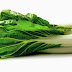 Best Bok Choy Cabbage Health Benefits For All Ages People