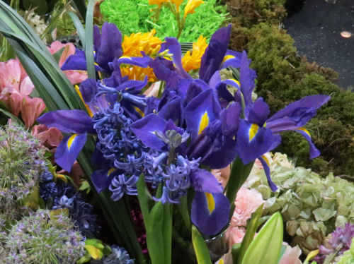 Philadelphia Flower Show - purple