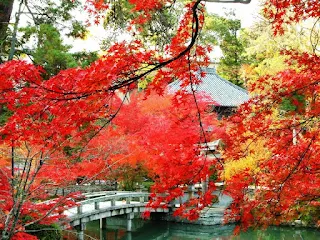 10 Autumn travel destinations in Asia