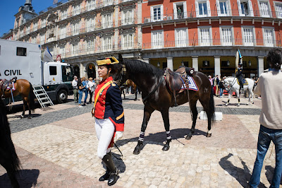 Police horse parade