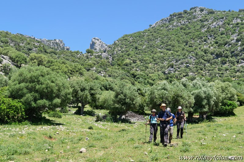 Benaocaz - Salto del Cabrero - Castillo de Aznalmara