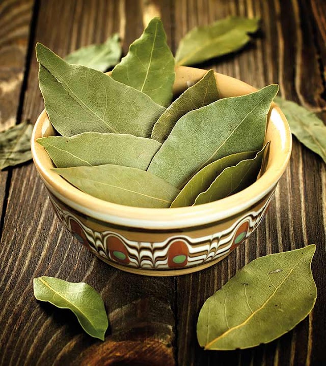 Healthy hair in bay leaves 