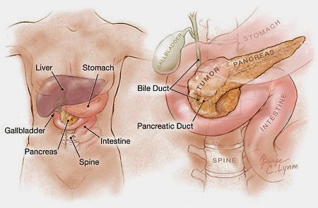 Pancrease and Its Cancer