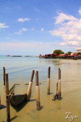 IMG_0039 (2)
