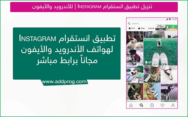 تحميل تطبيق انستقرام Instagram 2020 للأندرويد والأيفون - اد بروج