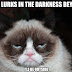 grumpy cat pictures with captions grumpy cat doesn39;t care about you