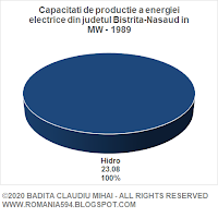 Surse de generare a energiei electrice din judetul Bistrita-Nasaud in MW in anul 1989