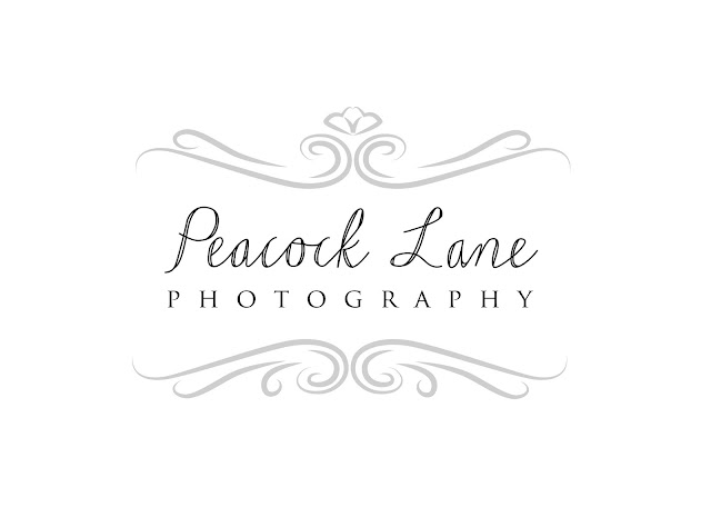 wedding photography logo design adelaide sail and swan