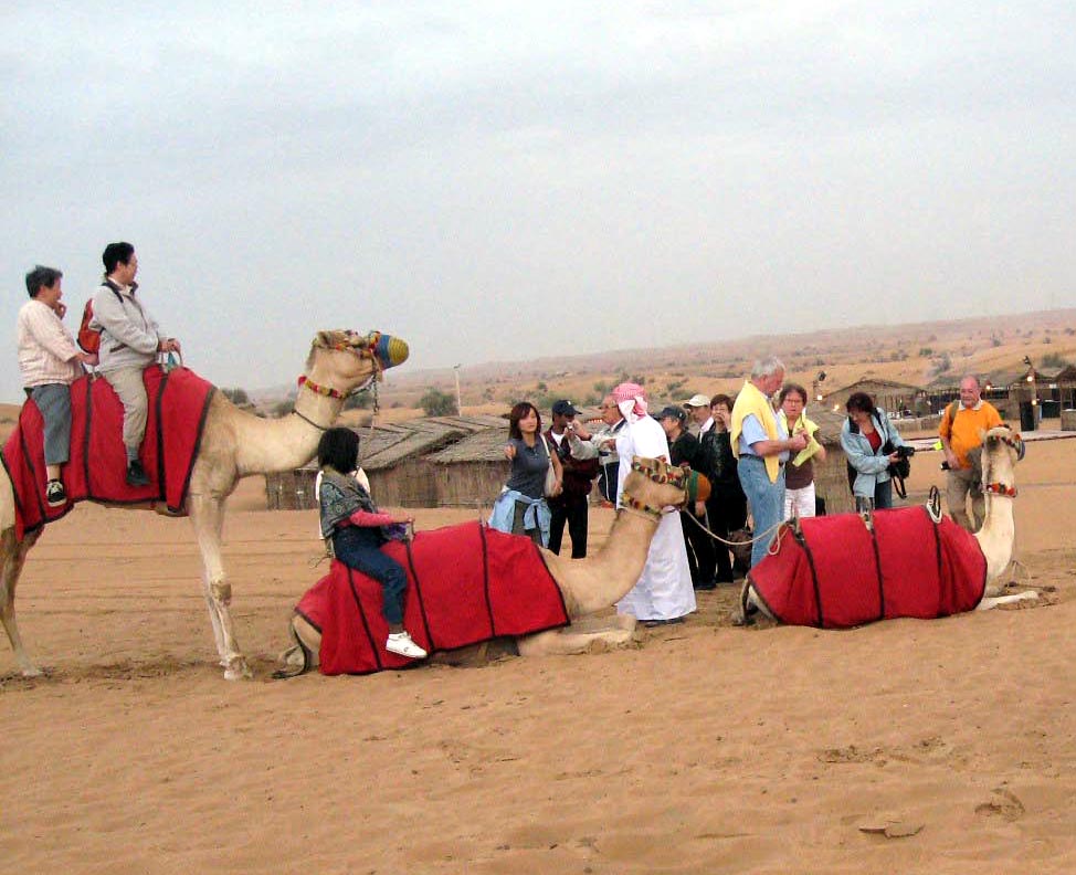 Abu Dhabi Desert Safari