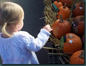 Pumpkin Shopping 09 020