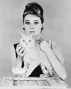 Las mascotas de Audrey Hepburn