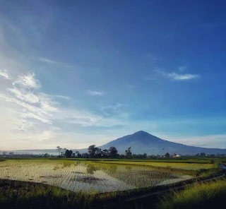 Tips Traveling: Menikmati Panorama Gunung Cikuray