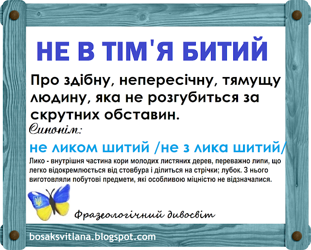 Не в тім'я битий. Фразеологічний дивосвіт