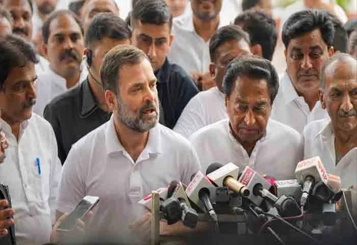 Congress Will Win 150 Seats: Rahul Gandhi On Upcoming Madhya Pradesh Polls, New Delhi, News, Politics, Rahul Gandhi, Assembly Election, Media, Meeting, Leaders, National