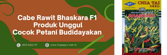 cabai rawit,cabai rawit bhaskara,cap kapal terbang,bisi,kapal terbang