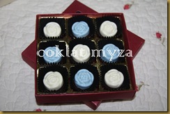 Coklat 16.3.2011 062